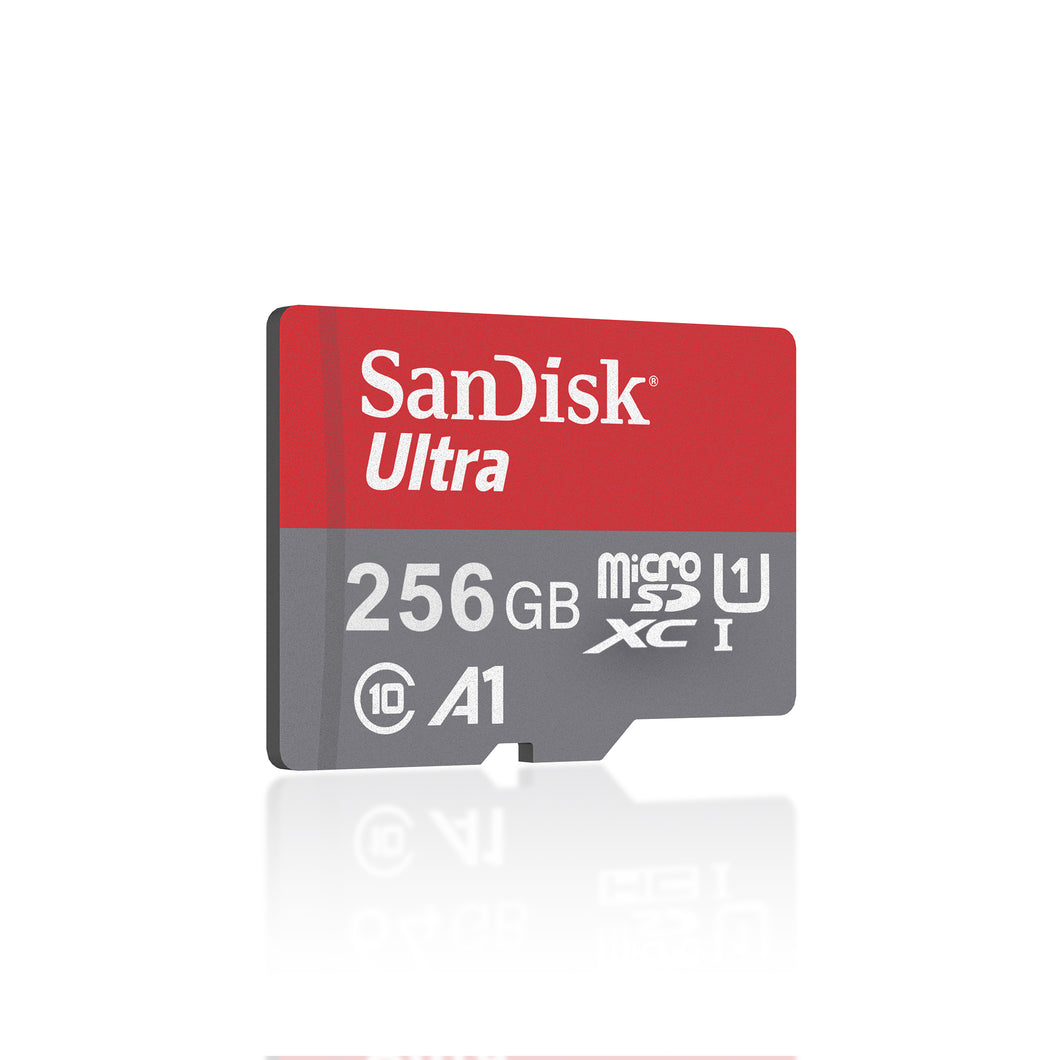 Sandisk SD card